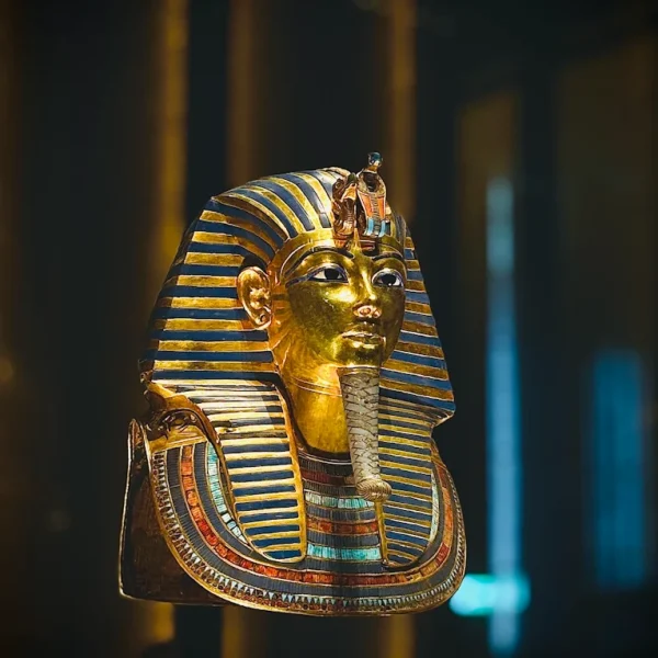Day tour to National Museum of Egyptian Civilization and Grand Egyptian Museum